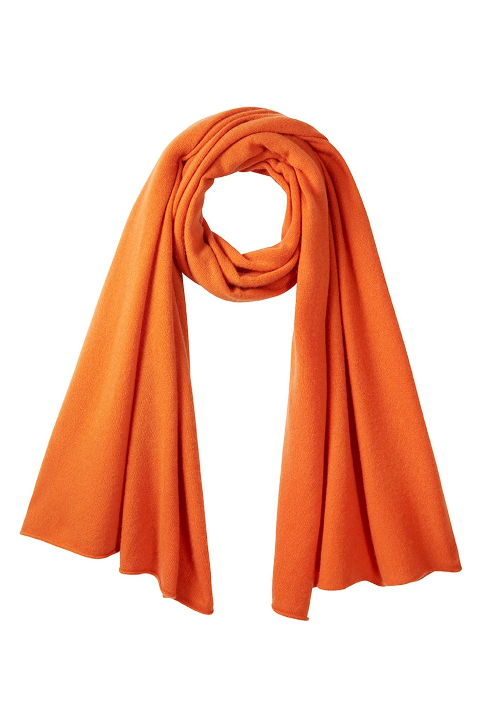 Rosie Cashmere Scarf - Champagne – WYSE London