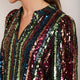 Darcy Sequin Dress - Stripe Multi